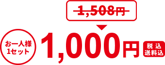 お一人様1セット 1,508円が1,000円（税込・送料込）