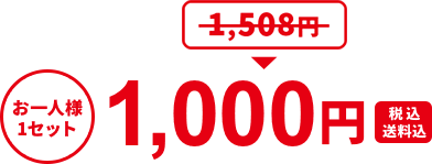 お一人様1セット 1,508円が1,000円（税込・送料込）